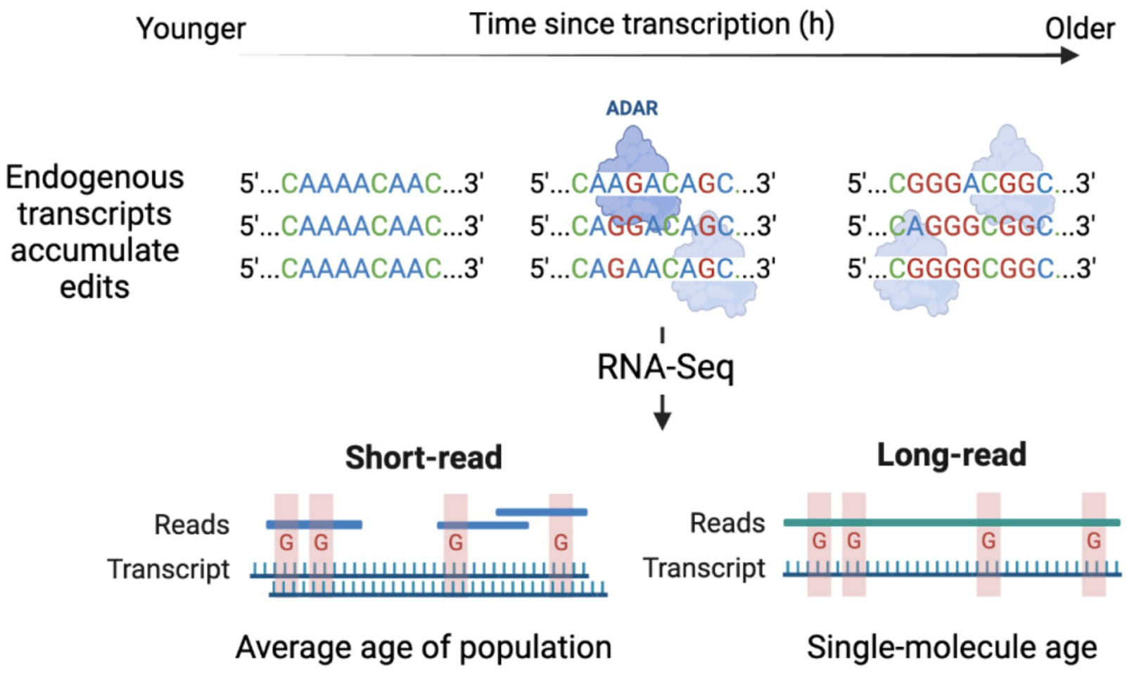 image-20241122153907279