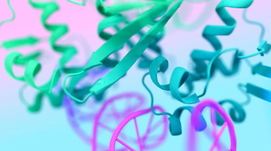 image-20241113094037569